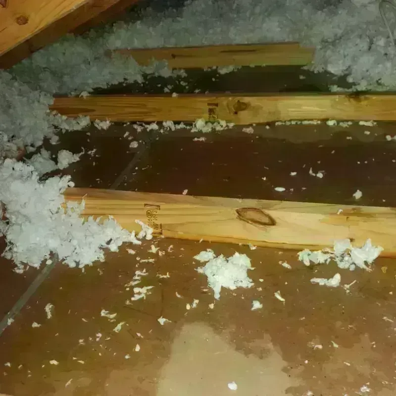 Attic Water Damage in Grundy County, MO