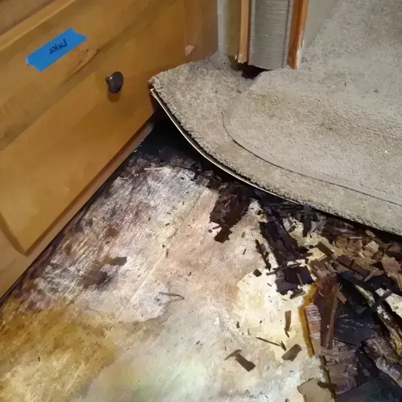 Wood Floor Water Damage in Grundy County, MO